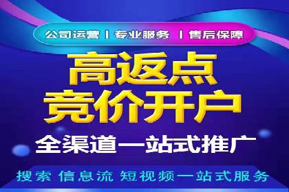 案例研究：SEM关键词优化效果对比